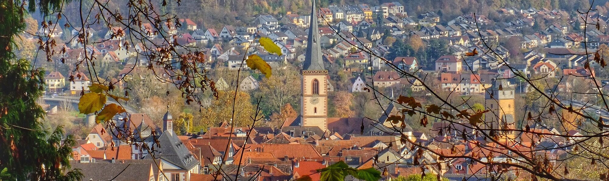Stadtansicht Lohr
